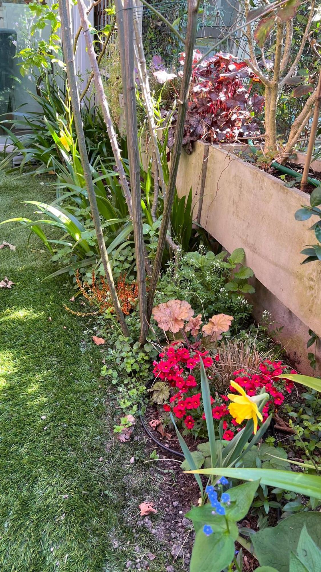 Garden Suite Bolzano Exterior photo